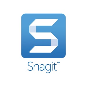 SnagIt 2024 공공기관용/ 영구(ESD) 스내그잇