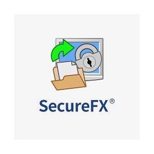 SecureFX 기업용/ 영구(ESD)