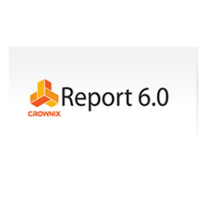Crownix Report 6.0 for SAP ERP(연동모듈)