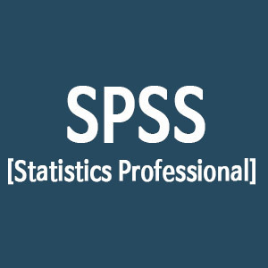IBM SPSS Statistics Professional (기업,교육,공공/병원) [전화문의]
