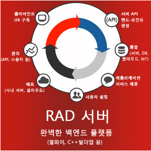 RAD 서버 Single Device License 신규(1년업데이트) 엠바카데로 RAD서버