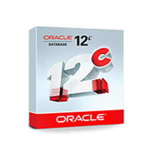 Oracle Database Enterprise Edition 2 (1CORE/Named 25user)(DB용)