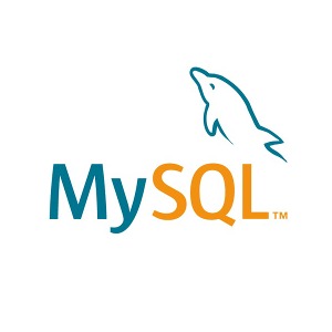 MySQL Standard 연간라이선스