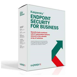 Kaspersky Endpoint Security 10 for Workstation (11~20 User) License 
