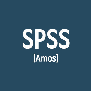 IBM SPSS Statistics Amos (기업,교육,공공/병원) [전화문의]